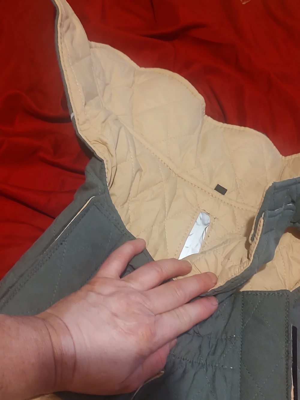 Quilted Green Dog Parka  New Xl Reversible